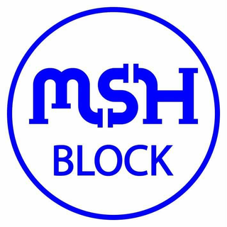 MSH Block logo